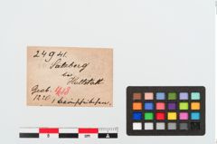 Etiketten zu Beinringperle (NHMW-PRAE-024941)
